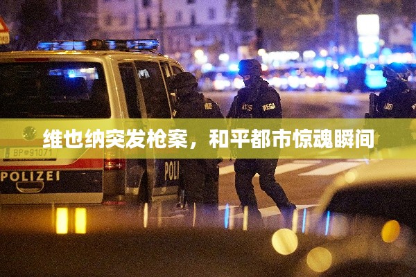 维也纳突发枪案，和平都市惊魂瞬间
