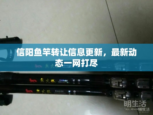 信阳鱼竿转让信息更新，最新动态一网打尽
