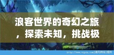 浪客世界的奇幻之旅，探索未知，挑战极限