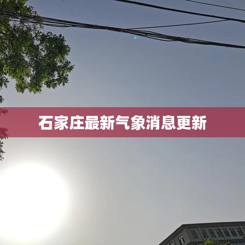 石家庄最新气象消息更新
