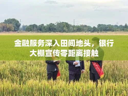 金融服务深入田间地头，银行大棚宣传零距离接触