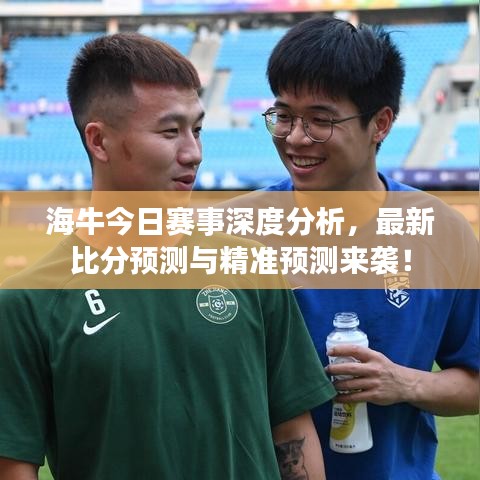 海牛今日赛事深度分析，最新比分预测与精准预测来袭！