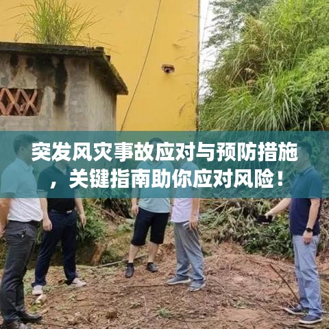 突发风灾事故应对与预防措施，关键指南助你应对风险！