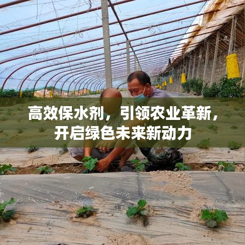 高效保水剂，引领农业革新，开启绿色未来新动力