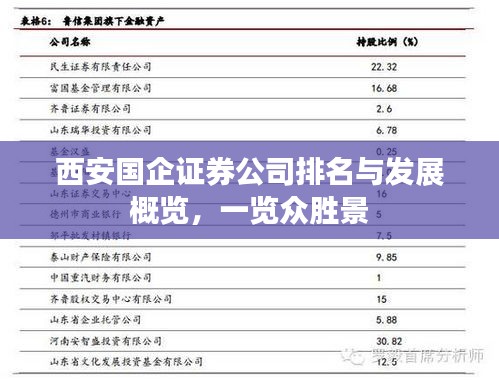 西安国企证券公司排名与发展概览，一览众胜景