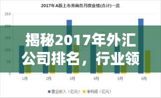 揭秘2017年外汇公司排名，行业领军者一览无余
