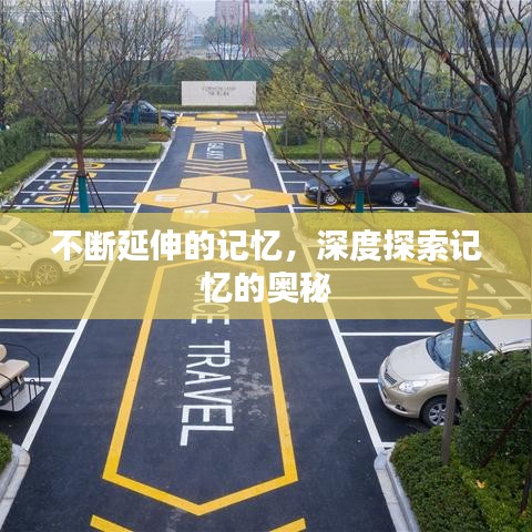 不断延伸的记忆，深度探索记忆的奥秘