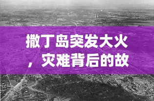 撒丁岛突发大火，灾难背后的故事揭秘