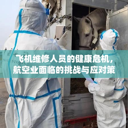 飞机维修人员的健康危机，航空业面临的挑战与应对策略