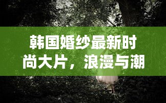 韩国婚纱最新时尚大片，浪漫与潮流的完美融合，绝美大片不容错过