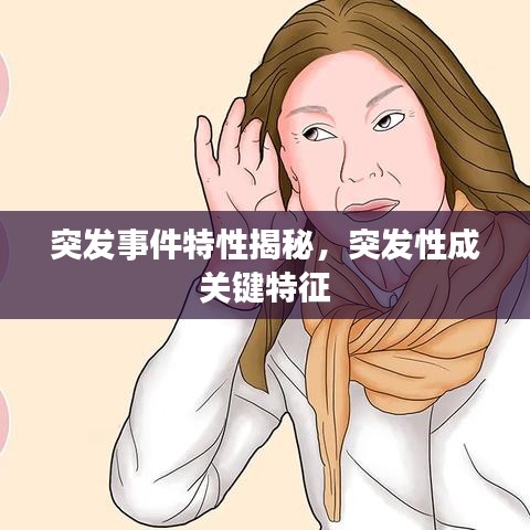 突发事件特性揭秘，突发性成关键特征