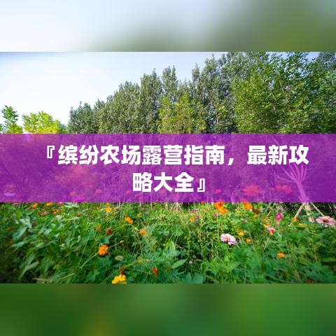 『缤纷农场露营指南，最新攻略大全』