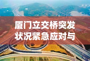 厦门立交桥突发状况紧急应对与日常交通安全意识反思