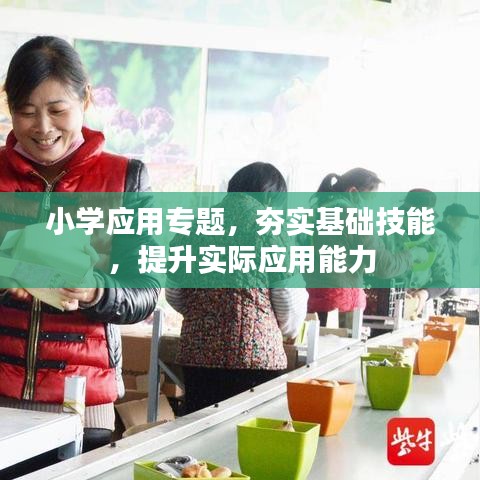 小学应用专题，夯实基础技能，提升实际应用能力
