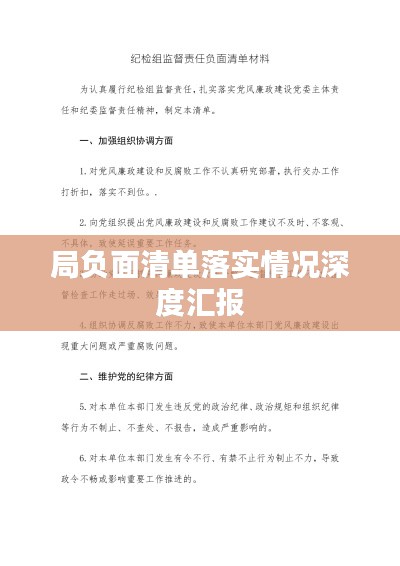局负面清单落实情况深度汇报