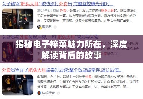 揭秘电子榨菜魅力所在，深度解读背后的故事