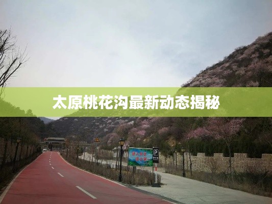 太原桃花沟最新动态揭秘