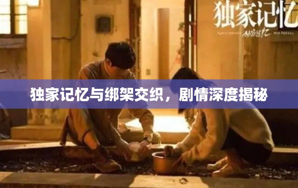 独家记忆与绑架交织，剧情深度揭秘