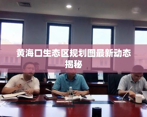 黄海口生态区规划图最新动态揭秘
