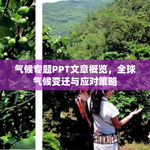 气候专题PPT文章概览，全球气候变迁与应对策略