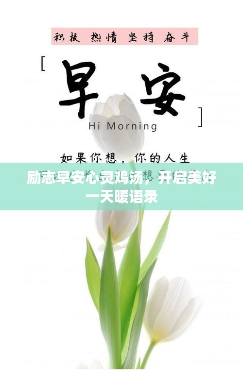 澹泊明志