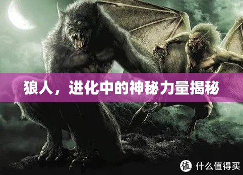 狼人，进化中的神秘力量揭秘