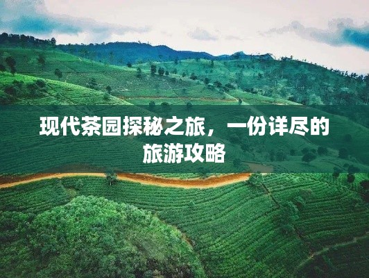 现代茶园探秘之旅，一份详尽的旅游攻略