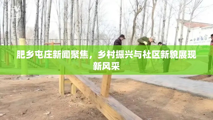 肥乡屯庄新闻聚焦，乡村振兴与社区新貌展现新风采