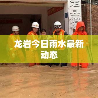 龙岩今日雨水最新动态