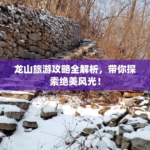 龙山旅游攻略全解析，带你探索绝美风光！
