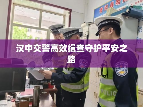 汉中交警高效缉查守护平安之路