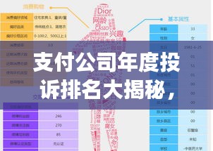 支付公司年度投诉排名大揭秘，服务质量与用户反馈深度解析