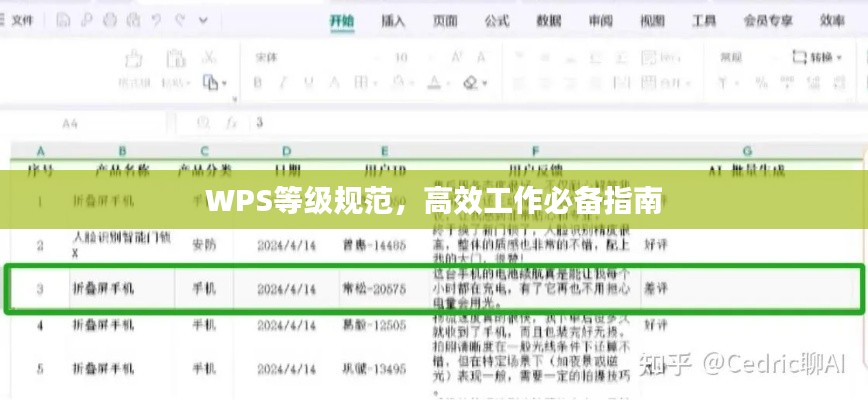 WPS等级规范，高效工作必备指南