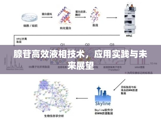 腺苷高效液相技术，应用实践与未来展望