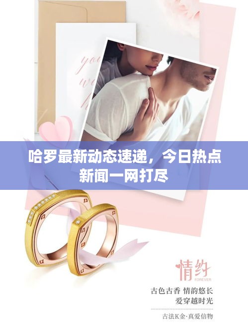 哈罗最新动态速递，今日热点新闻一网打尽