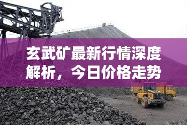 玄武矿最新行情深度解析，今日价格走势一网打尽