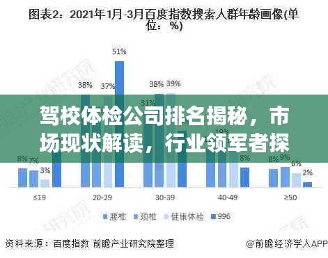 驾校体检公司排名揭秘，市场现状解读，行业领军者探寻