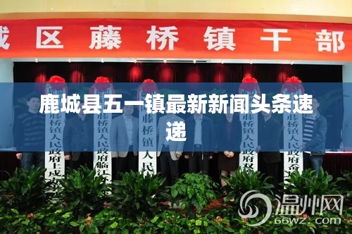鹿城县五一镇最新新闻头条速递