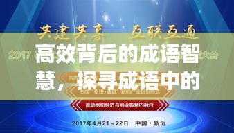 高效背后的成语智慧，探寻成语中的智慧与效率之道