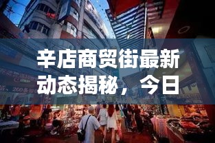 辛店商贸街最新动态揭秘，今日消息一网打尽