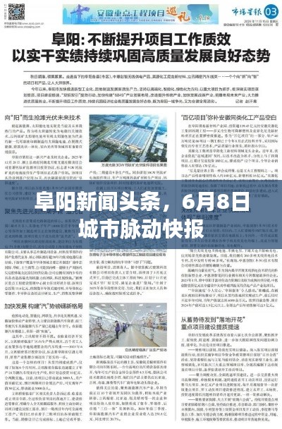 阜阳新闻头条，6月8日城市脉动快报
