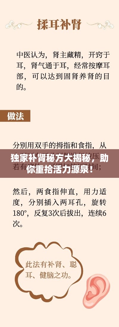 独家补肾秘方大揭秘，助你重拾活力源泉！