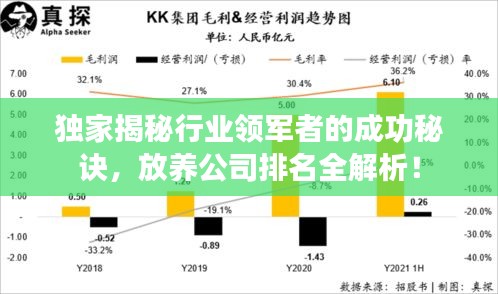 独家揭秘行业领军者的成功秘诀，放养公司排名全解析！