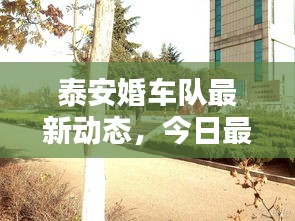 泰安婚车队最新动态，今日最新消息全解析