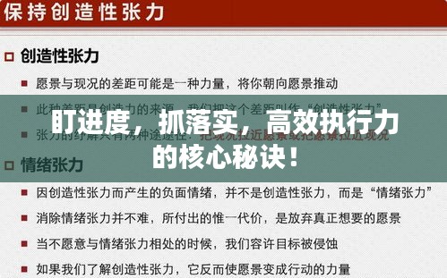 盯进度，抓落实，高效执行力的核心秘诀！