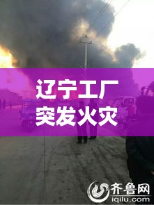 辽宁工厂突发火灾，紧急救援行动迅速启动，火势得到控制