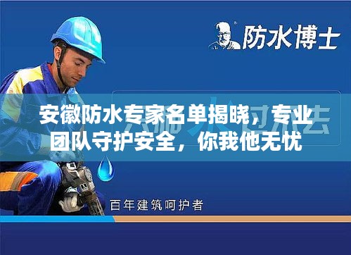 安徽防水专家名单揭晓，专业团队守护安全，你我他无忧