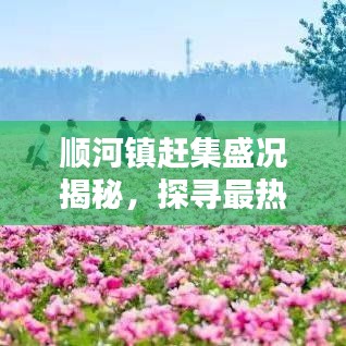 顺河镇赶集盛况揭秘，探寻最热闹的集市日