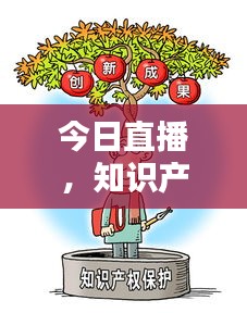 今日直播，知识产权新闻最新动态速递