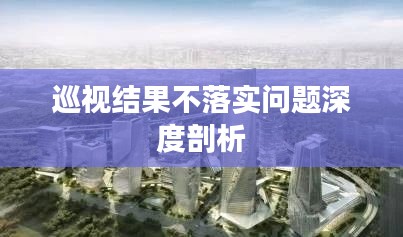 巡视结果不落实问题深度剖析